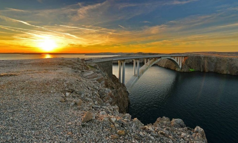  Duis pellentesque magna