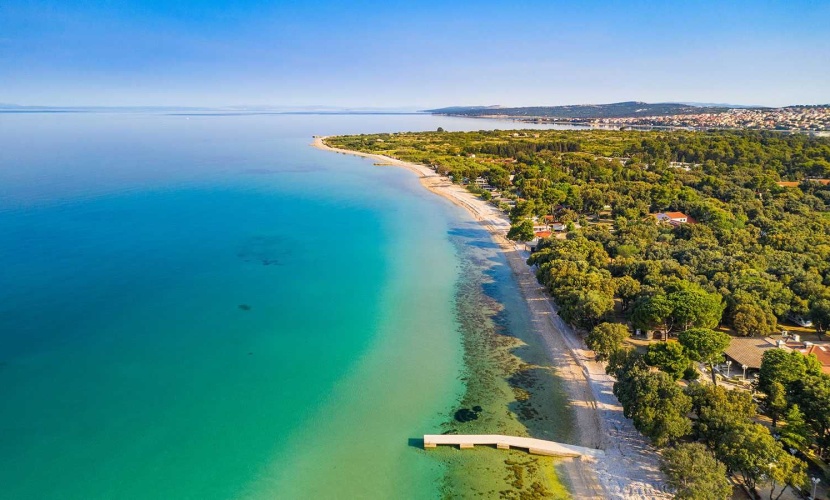 Donec gravida scelerisqu